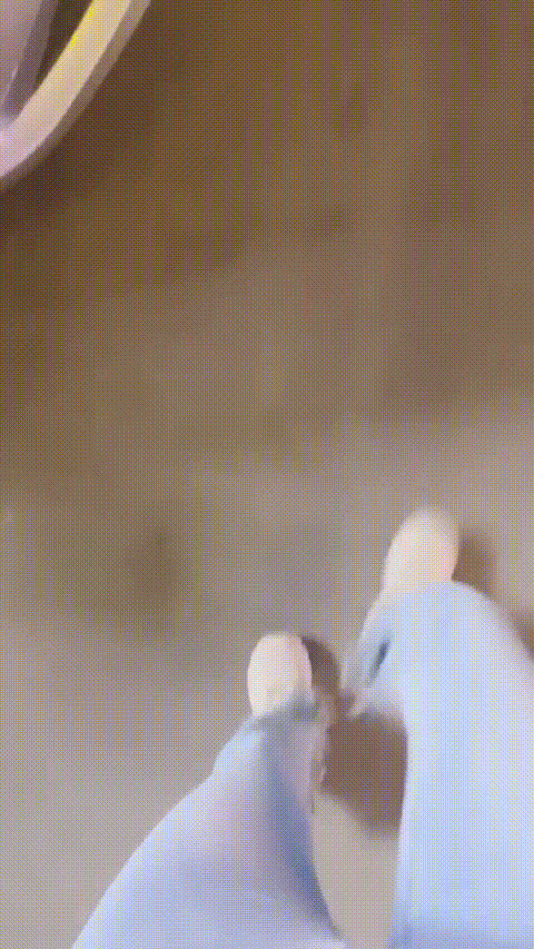 ktv勾搭 3-7-2 99245988_20240307-231733-840_p80_compressed.gif