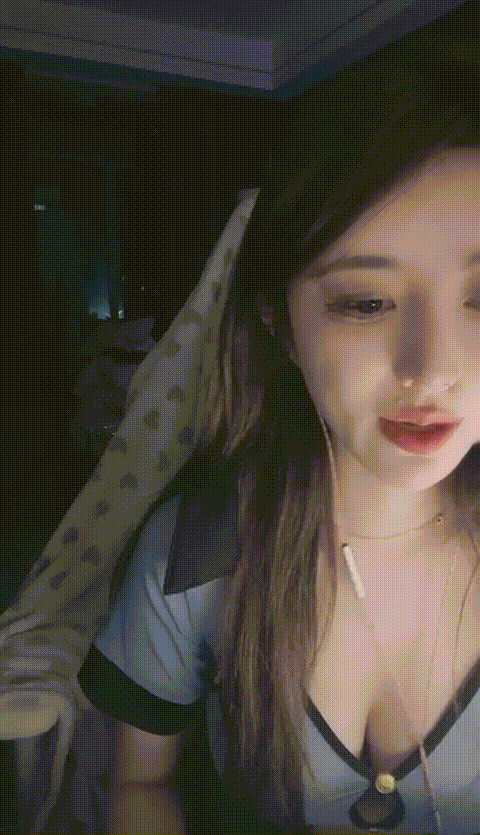棉棉熊0105-0221 (4)_p60_compressed.gif