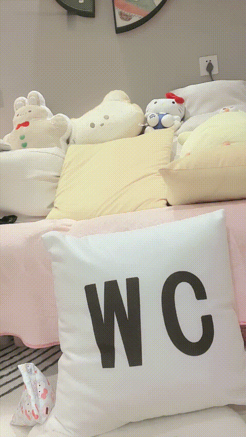 奶啵啵儿_20260217_165325_p80.gif