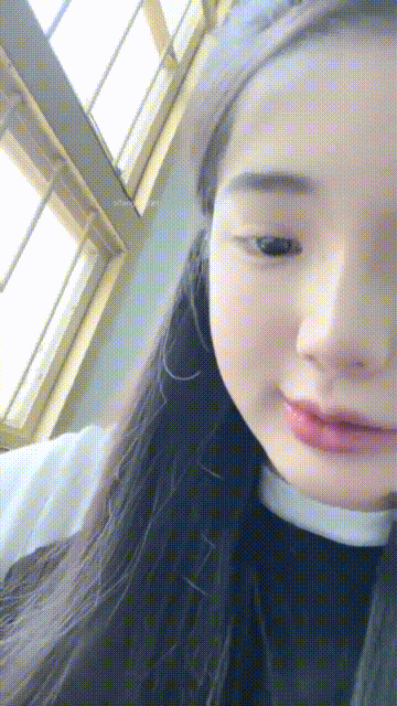 1 (13)_compressed.gif