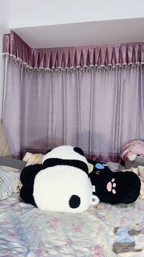 爱吃小布丁_20260201_102428_p5.gif