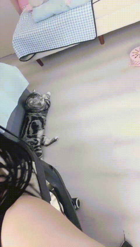 vlc_record_2023_06_12_09h17m32s_cx___p60_compressed.gif