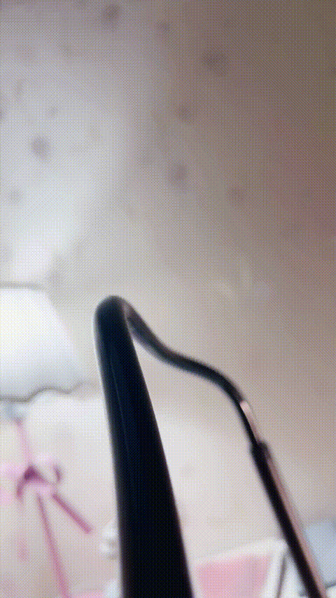 明圆穗子_84911741_20250906-234034_p20.gif