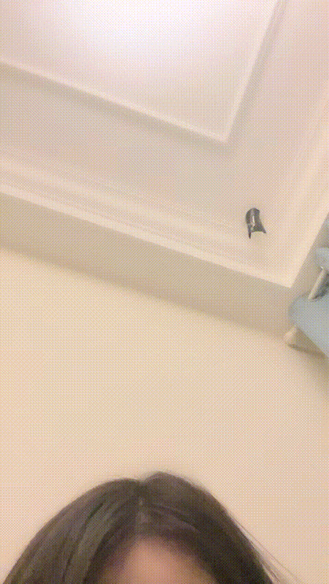 VID_20230905_182129_122_p5_compressed.gif