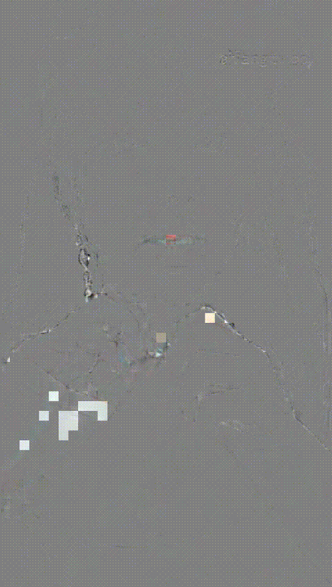 (118)_p80_compressed.gif