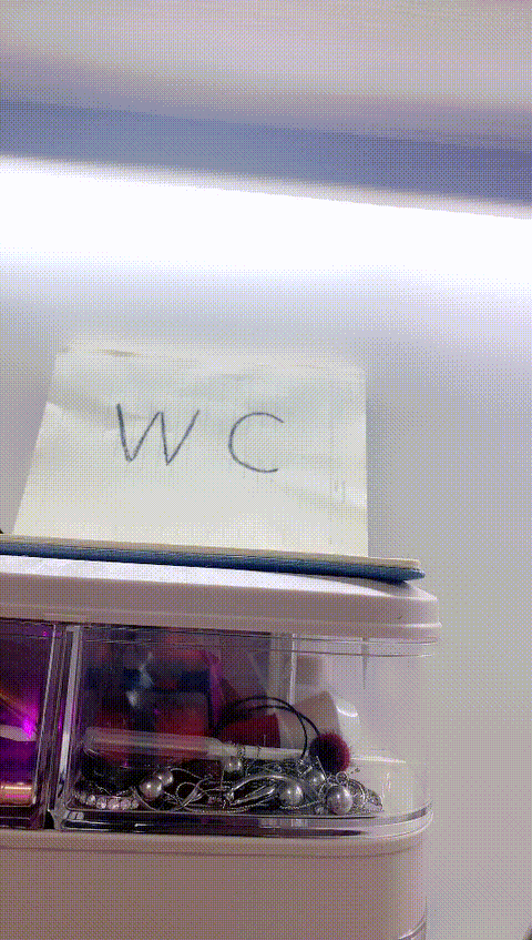 vlc_record_2023_05_18_17h10m18s_cx___p80.gif
