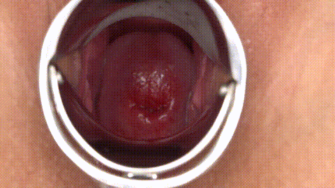 032526-001-CARIB_p80.gif