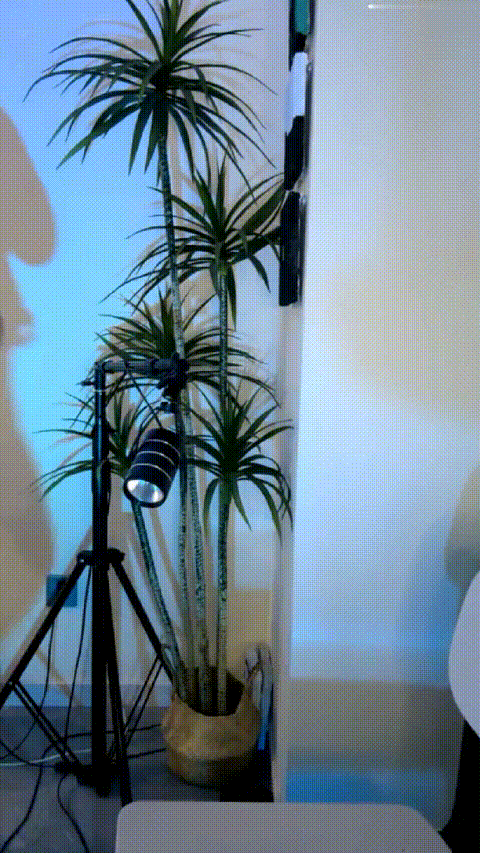 (183)1099_p20.gif