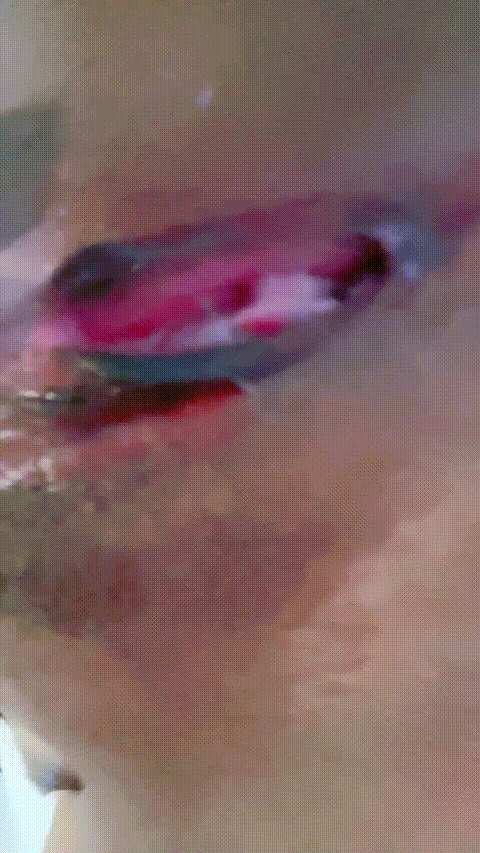 #卖火柴的小女孩w__p5_compressed.gif