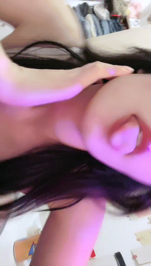 #困了就睡___#怎_q2rl8_p40_compressed.gif