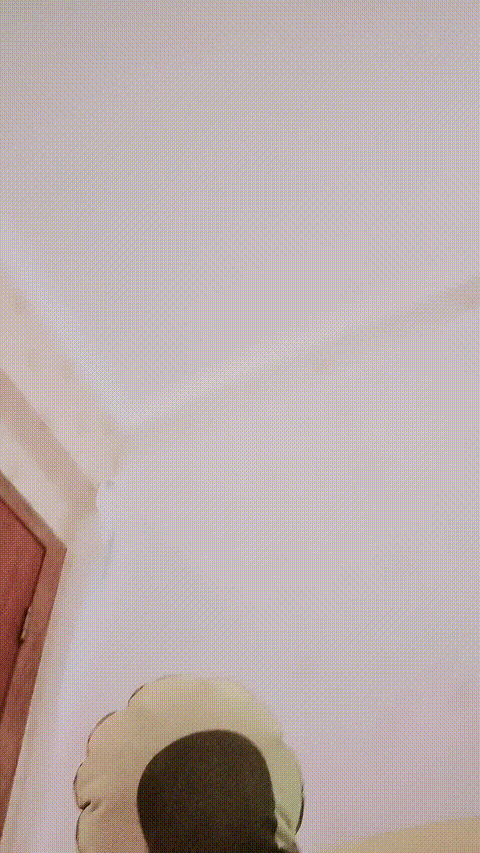 0 (4).gif