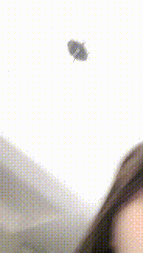 vlc_record_2023_05_28_23h18m14s_cx___p40_compressed.gif