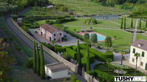 Mutual Attraction (1)_p5.gif