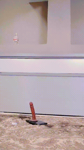 1 (4).gif