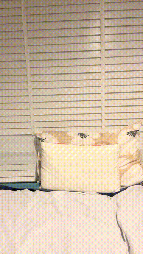 VID_20230913_042843_535_p5.gif