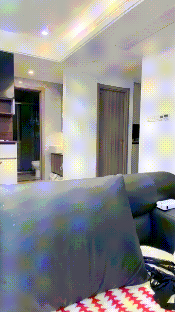 1 (6).gif