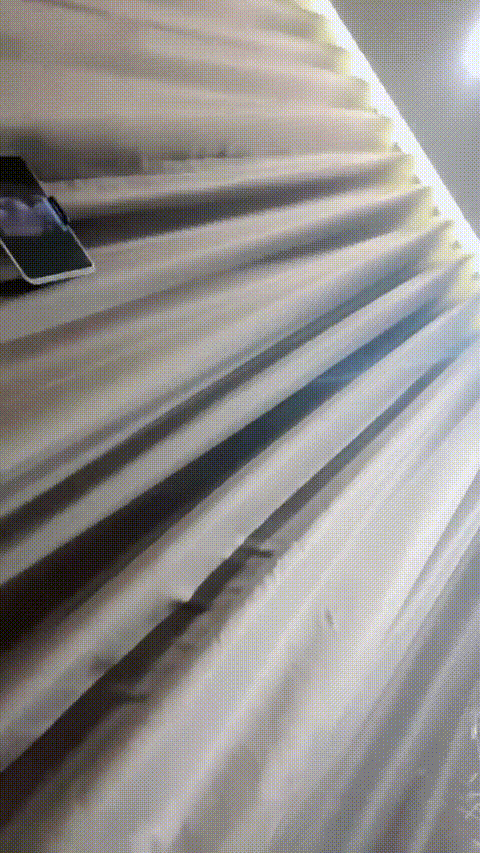 哒咩_小则又沐风_20260219_132843_p60_compressed.gif