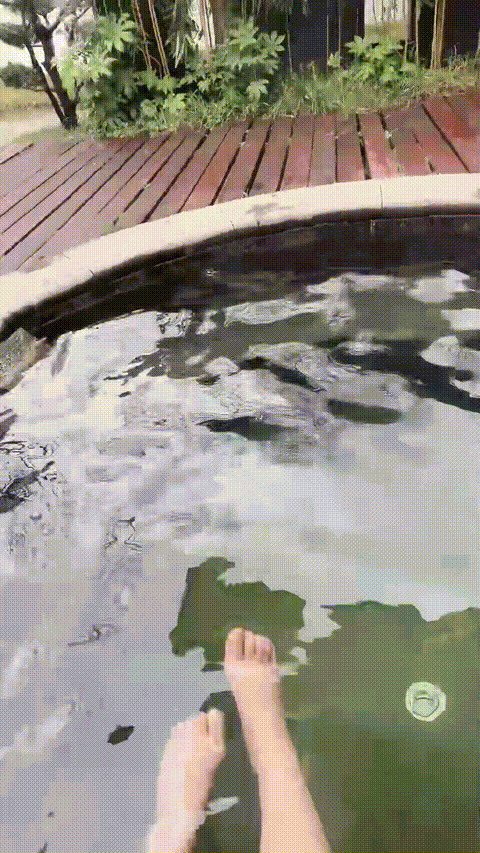 【小鱼糕冷】巨乳空姐 温泉会所 逼毛很多但是逼逼粉嫩 水中无套后入 道具自慰 爽死啦 .gif