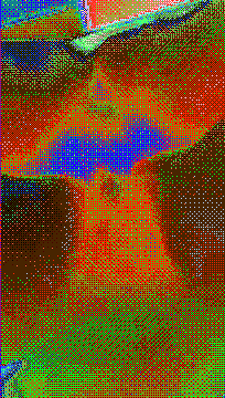d1101_compressed.gif