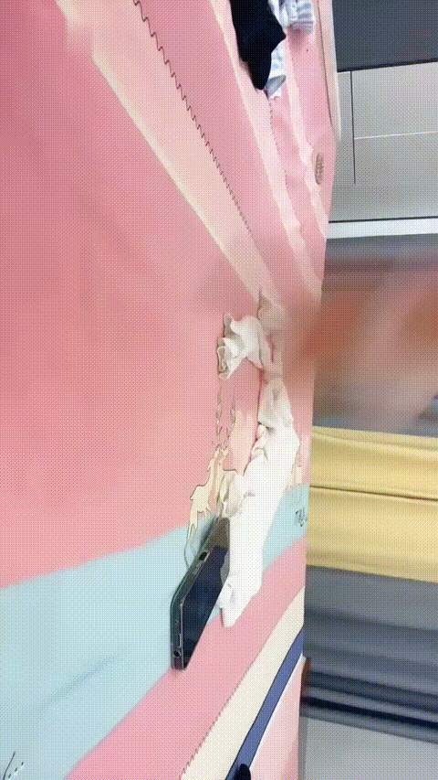 一一一诺_20260219_203203_p60_compressed.gif