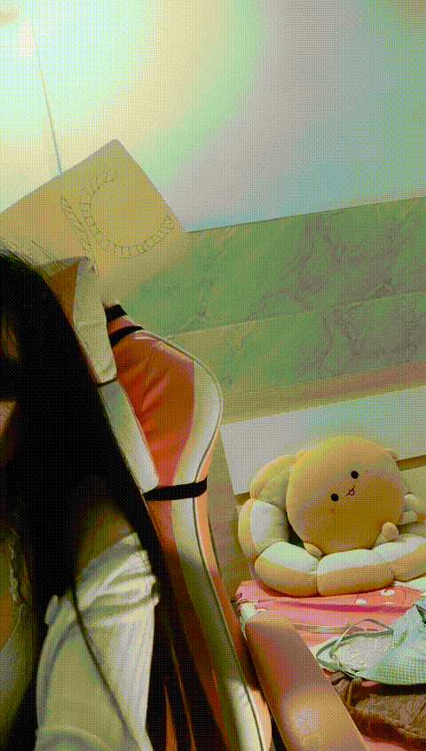 vlc_record_2023_05_24_22h53m20s_cx___p80_compressed.gif