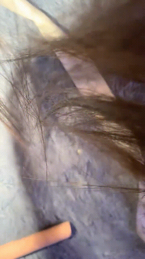 20035379_少萝_01_p80_compressed_compressed.gif