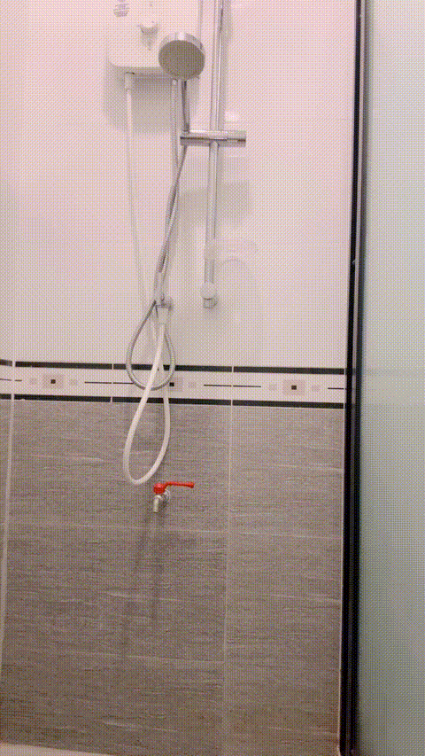 灵羽合_20260212_112558_p80.gif