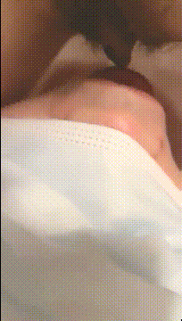 2 (8)_compressed.gif