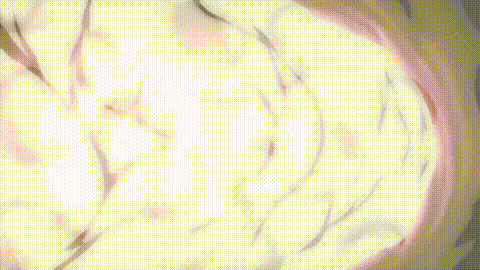 STARjewel_スタージュエル_[中文字幕]_p60.gif