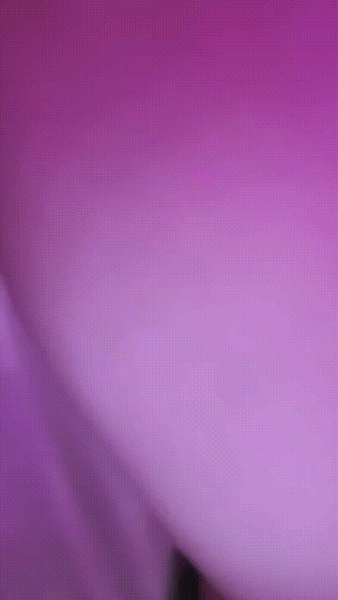 井川里予_20260209_141934_p60_compressed.gif
