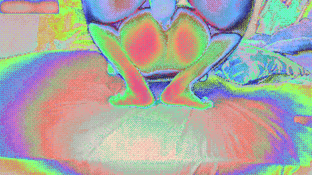 2 (4)_compressed.gif