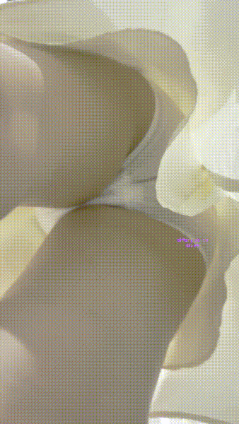 p6g1y8.gif