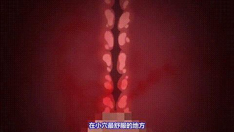 OVAそれでも妻を愛してる2_2_中文字幕 即使如此還是愛著妻子_p80.gif