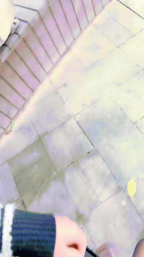 18128629_小金莲儿啊_06_p5_compressed_compressed.gif