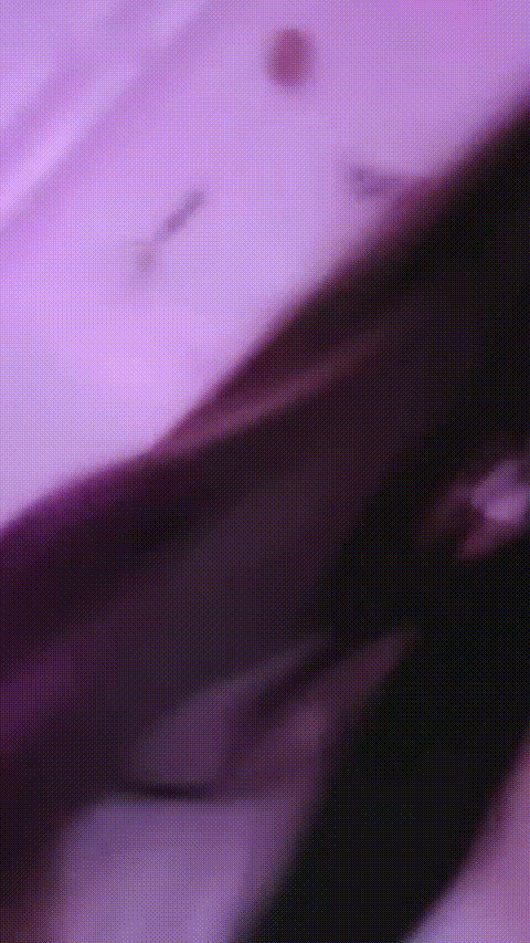 井川里予_20260209_153528_p20_compressed.gif