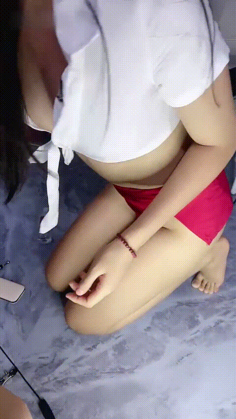 岛岛_20260220_093440_p40_compressed.gif