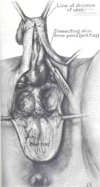 SRSFig3.jpg