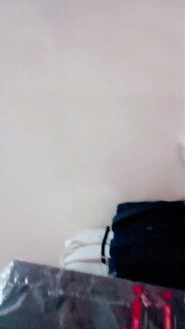 2 (7)_compressed.gif