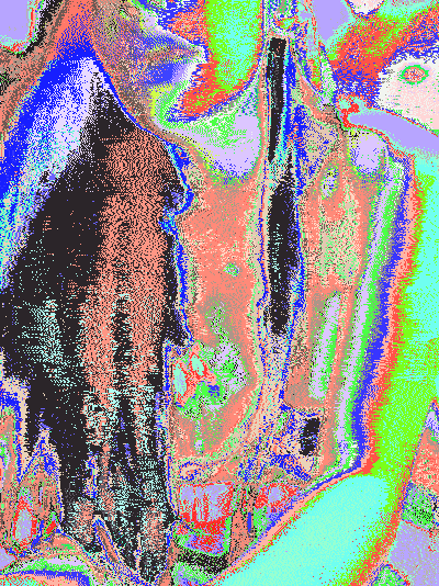 2 (5)_compressed.gif