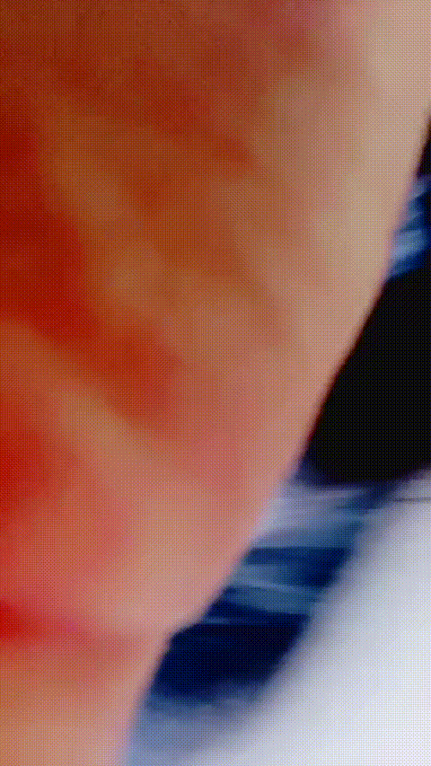 讨厌u_20260216_175456_p80_compressed.gif
