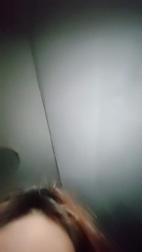 小乖_20260214_104003_p40_compressed.gif