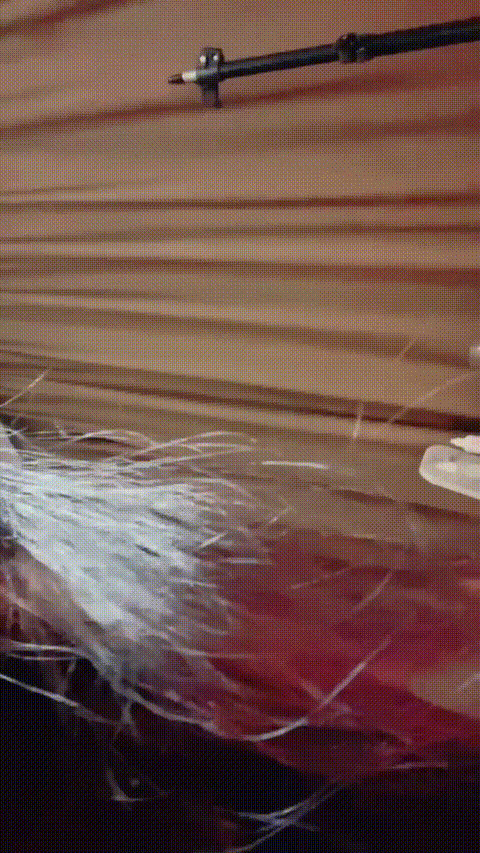 悠悠_20260307_214352_p40_compressed.gif