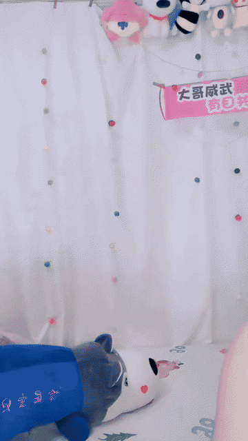 0 (9).gif