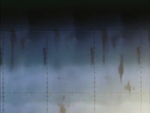 V__VOL_1_[中文字幕]_p20.gif
