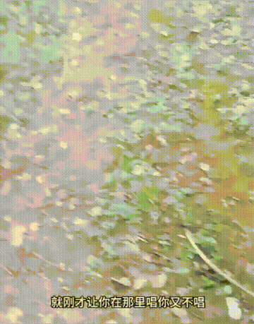 1 (5).gif
