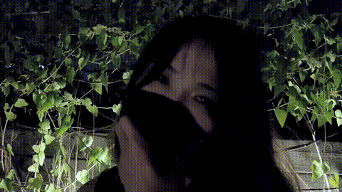 被拴在铁栏杆上的海砂在室外的露出经历_p80.gif