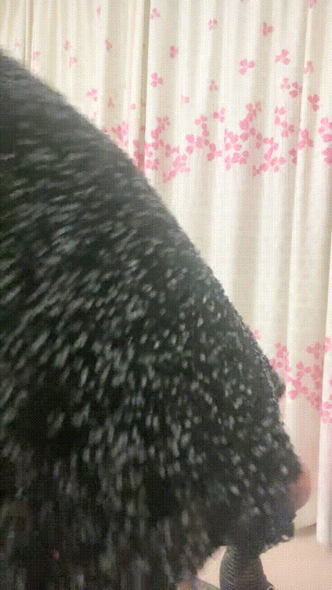 VID_20230904_151745_267_p40_compressed.gif