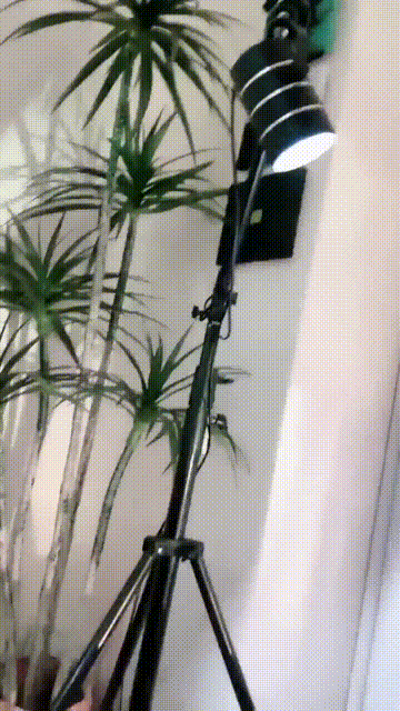 秀人网颜值主播自摸巨乳 道具插穴大尺度直播2_start230s_3s_compressed.gif