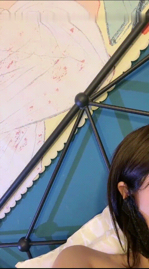 IMG_1263_p80_compressed.gif