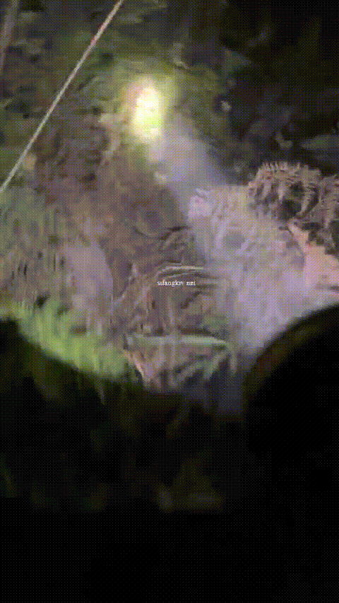 爱液随风起_农村大学生主播_户外喷水直播合集27部_23_p60_compressed.gif